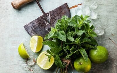 LIME & CORIANDER SALSA